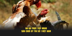 da-ga-truc-tiep-hb88-san-choi-uy-tin-so-1-viet-nam (1)