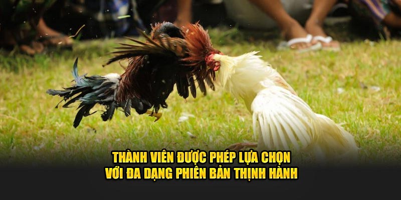 thanh-vien-duoc-phep-lua-chon-voi-da-dang-phien-ban-thinh-hanh (1)